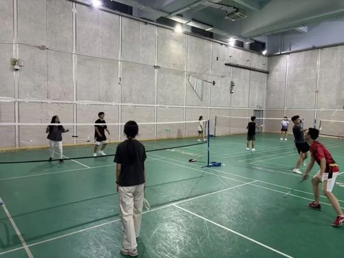 1116乒羽2.jpg