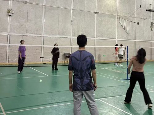 1116乒羽5.jpg