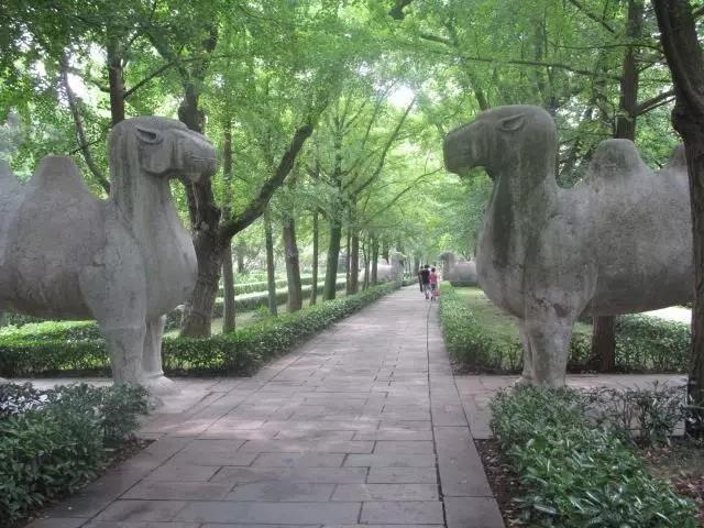 微信图片_20170619175154 微信图片_20170619175154