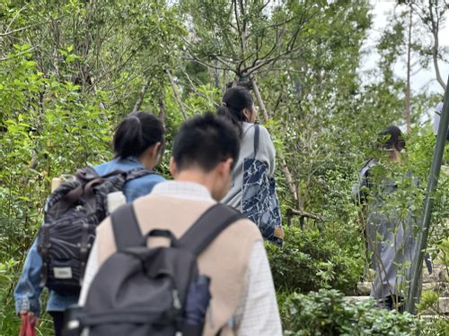 登山比赛.jpg