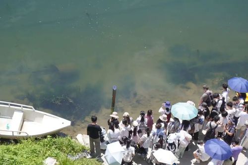 0918野外实习7.jpg