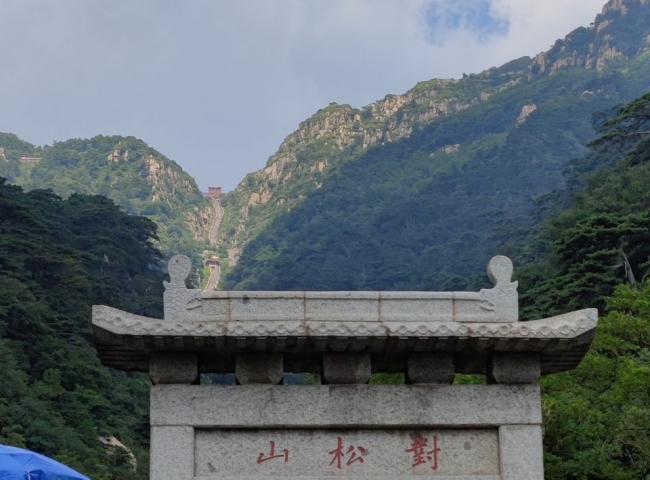 image017