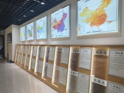1124地球说2.jpg