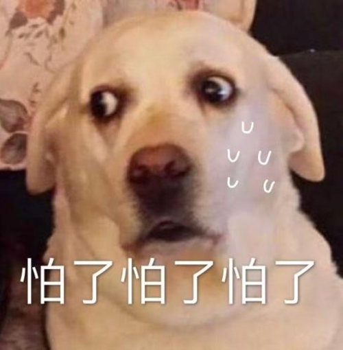 图片 1.png
