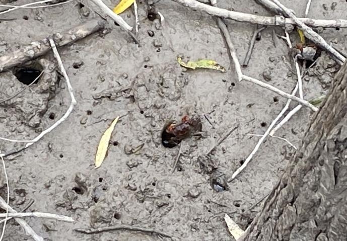 image041 image041